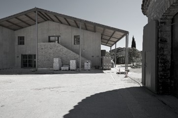 cave viticole en Pic Saint-Loup