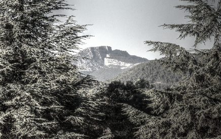 Pic Saint-Loup en noir et blanc