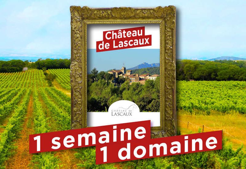 Opération <br>« Une semaine, un domaine »