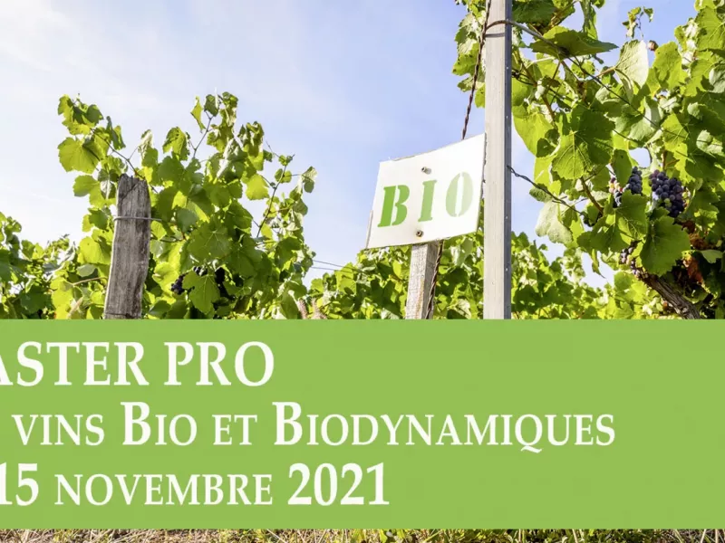 Nous serons présents au Master Pro vins bio et biodynamiques de la RVF !