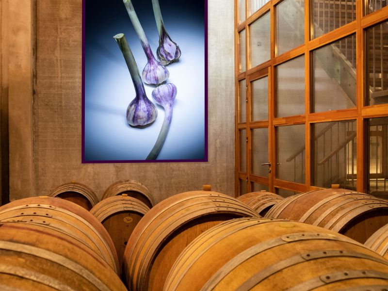 Vernissage exposition « Organic »