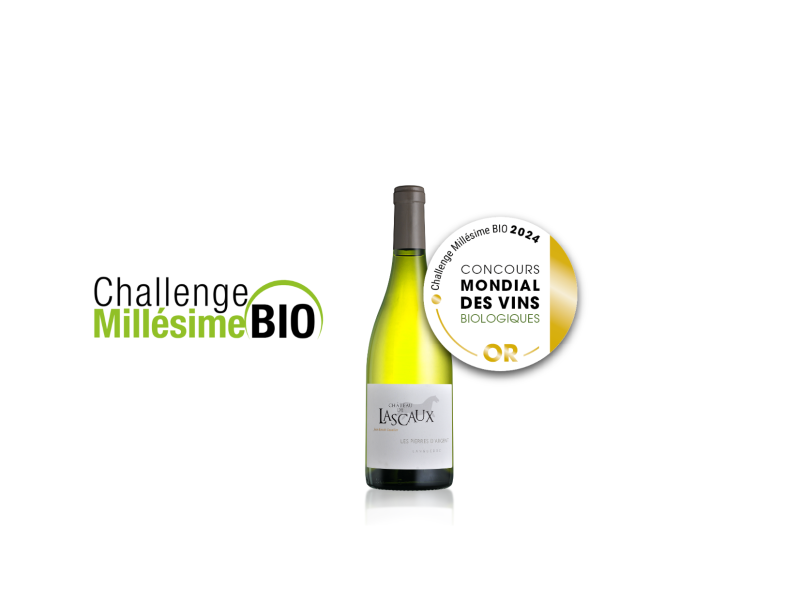 Notre cuvée Les Pierres d’Argent obtient la note de 99 points !