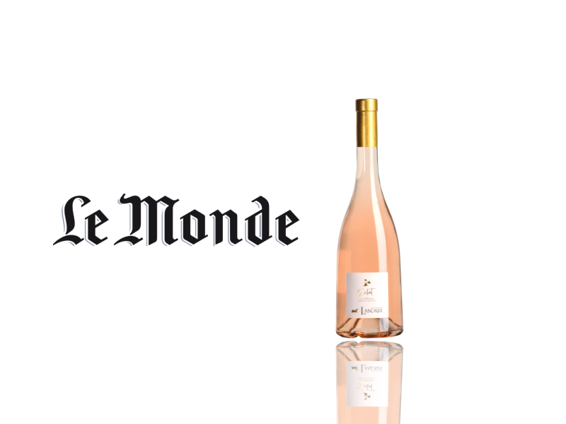 Éclat de Garrigue 2023 dans la sélection des vins rosés du Monde