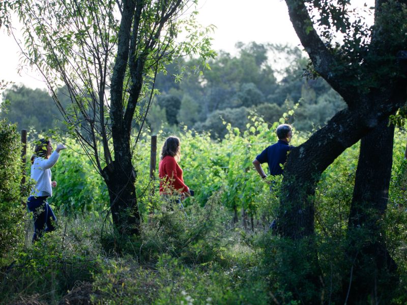 Cette année, nous célébrons les 20 ans de pratiques en Agriculture Biologique